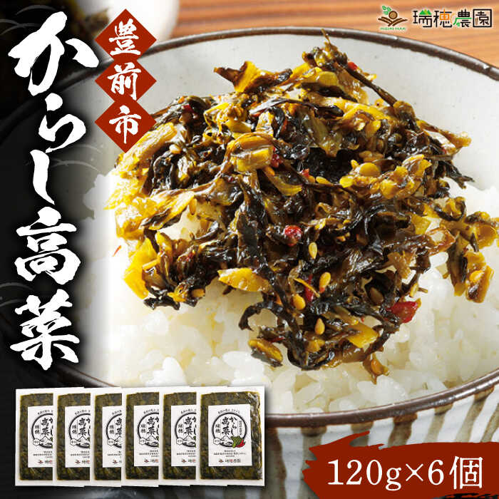 【ふるさと納税】からし高菜120g×6個セット《豊前市》【株式会社瑞穂】[VBG004] 11000 11000円