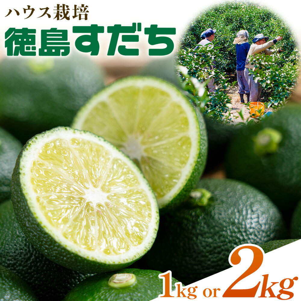 【ふるさと納税】生産量日本一徳島県産 ハウスすだち 1kg or 2kg 一般財団法人さなごうち 《6月中旬-9月上旬頃に出荷予定(土日祝除く)》徳島 すだち スダチ 露地 魚 豆腐 冷奴 焼き魚 天ぷら 刺身 徳島県 佐那河内村