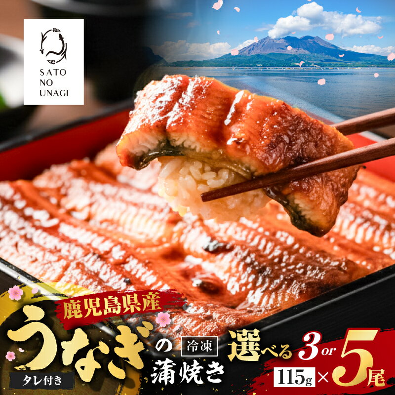 【ふるさと納税】【土用の丑の日特集】＜選べる＞鹿児島県産 うなぎ 蒲焼 115g×3尾 345g以上 115g×5尾 575g以上 鰻 ウナギ 魚 魚介類 惣菜 総菜 国産 鰻重 鰻丼 ひつまぶし 土用の丑の日 贅沢 冷凍 サトウ 鹿児島市 おすすめ ランキング プレゼント ギフト