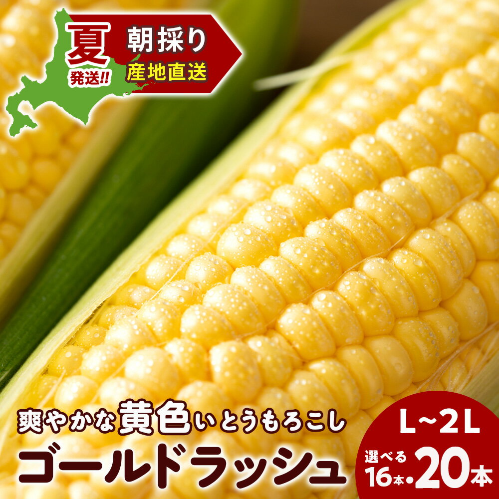 【ふるさと納税】2025年夏発送 とうもろこし ゴールドラッシュ L〜2L 選べる16本～20本 北海道千歳産 野菜 とうもろこし【北海道千歳市】ギフト ふるさと納税