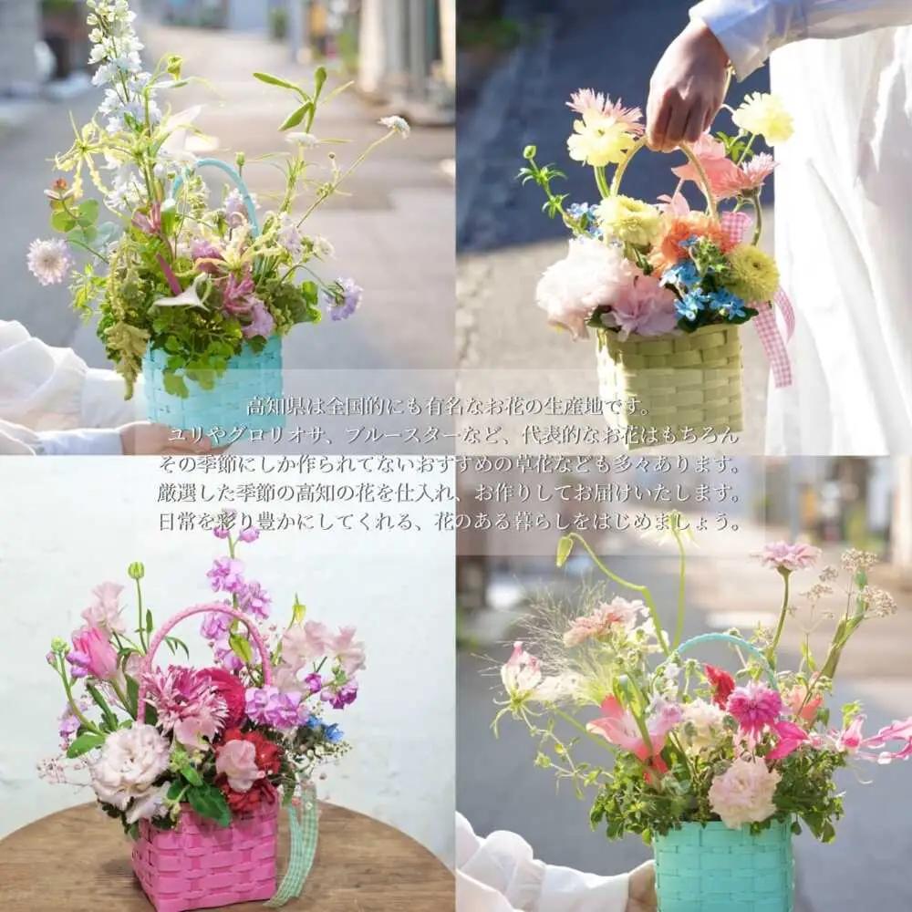 【6回定期便】季節の生花カラーバスケットフラワーS / お花 フラワー ミニサイズ アレンジメント カラーバスケット おしゃれ インテリア 省スペース プチギフト おまかせ 手作り 雑貨 季節の便り 
