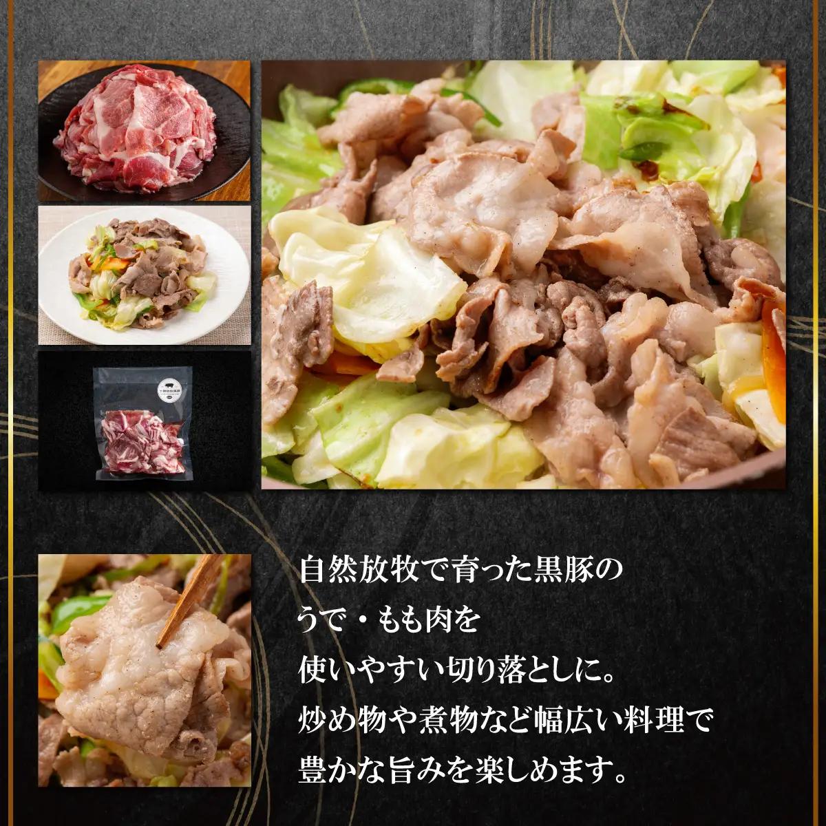 【定期10ヶ月】黒豚切り落とし（うで・もも） 300g×5 SKN099
