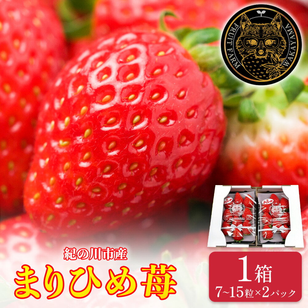 【ふるさと納税】和歌山県産 まりひめ苺 1箱 7～15粒 2パック いちご イチゴ 株式会社ふるーつふぁーむわかやま 《12月下旬-5月中旬頃出荷》 和歌山県 紀の川市