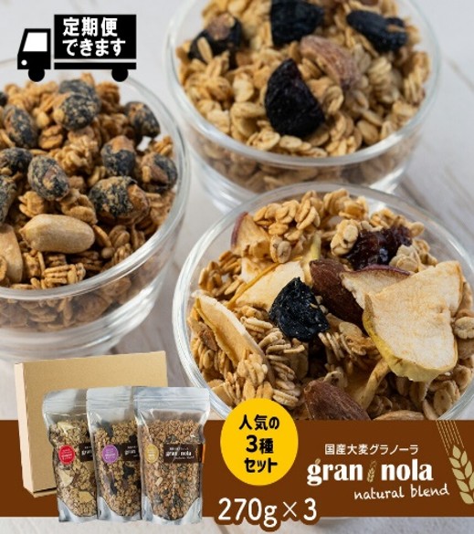 国産大麦グラノーラ 【小麦粉不使用】Lサイズ 人気の3個セット｜果物 フルーツ 朝食 軽食 おやつ 食物繊維 国産原料 信州産 長野県 千曲市
