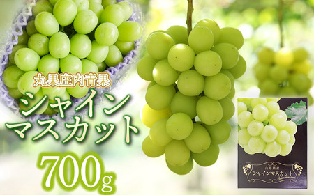 【令和8年産先行予約】シャインマスカット 約700g　丸果庄内青果