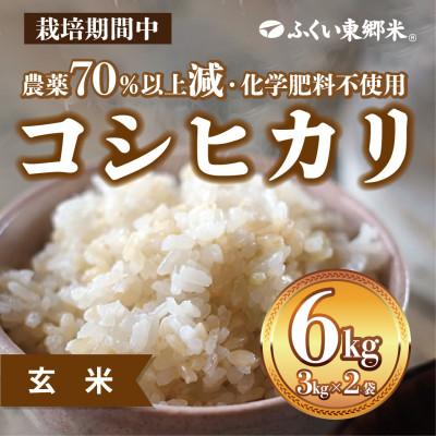 ふるさと納税 福井市 【2025年4月上旬発送】ふくい東郷米 特別栽培米コシヒカリ玄米　6kg(3kg×2)【真空袋】 | 