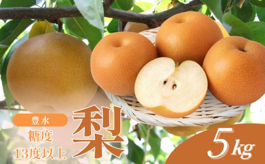 【2026年先行予約】梨 豊水 糖度 14度 以上 約5kg | 果物 くだもの フルーツ 豊水 梨 なし ナシ 新鮮 長野県 信州 南信州 飯田市