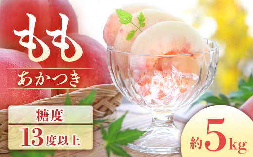 【2027年7月下旬～発送予定】桃 あかつき 約5kg　もも モモ 10～18玉 フルーツ 果物 長野県 南信州 豊丘村