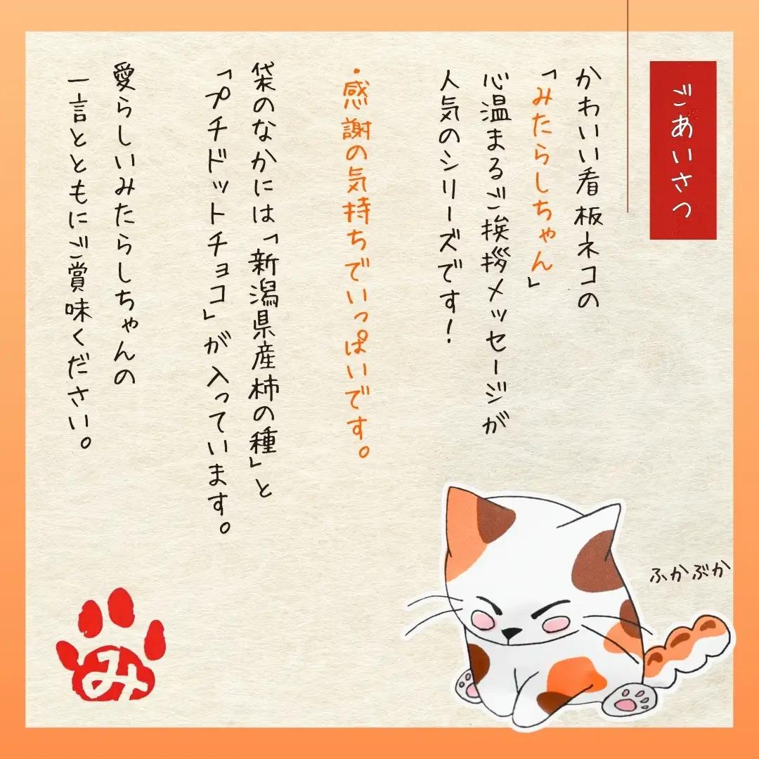 【感謝の気持ちでいっぱいです】ご挨拶にぴったり 柿の種＆ドットチョコ15パック 創信産業 |手土産 挨拶