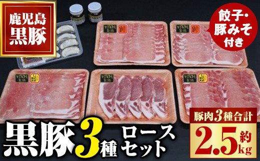 
C02048 極上かごしま黒豚セット！(合計約2.5kg・豚肉3種・餃子・黒豚みそ)【和田養豚】
