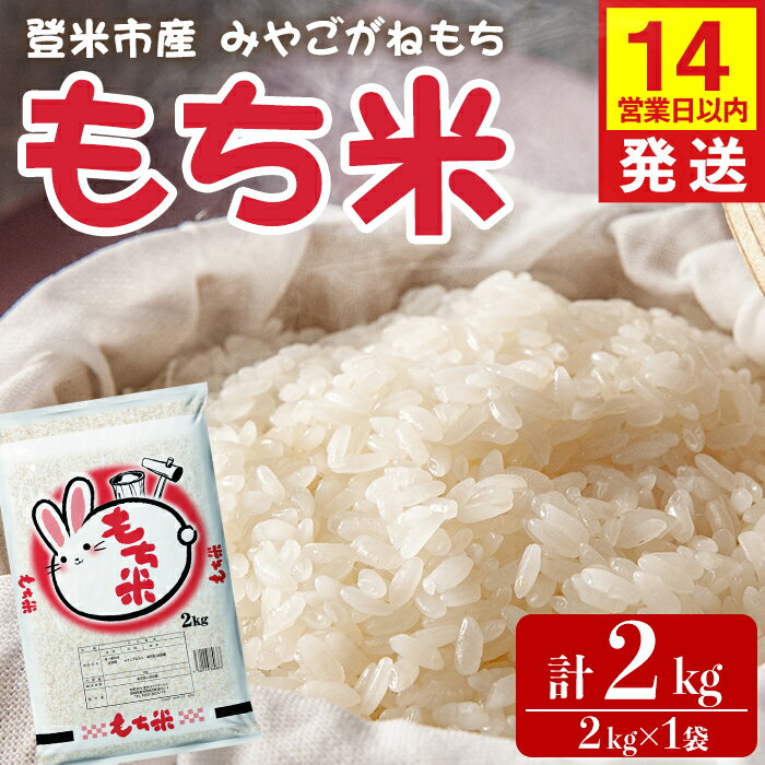 【ふるさと納税】【14営業日以内に発送予定】もち米 みやこがねもち 2kg×1袋 精米 お米 おこめ 米 コメ もち モチ モチ米 おこわ 餅 おもち 赤飯 餅つき 宮城県 登米市産【登米ライスサービス株式会社】tm727