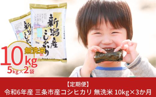 [定期便10kg×3か月] 令和6年産 無洗米 新潟県三条市産コシヒカリ 計30kg 新米 こしひかり 3か月連続でお届け [株式会社白熊]【041S004】