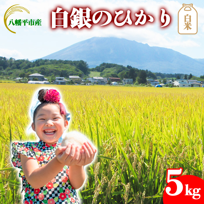 【令和7年産】 新米 10月中旬発送開始予定 白銀のひかり  （岩手141号）   精米 5kg ／ かきのうえ こめ 米 コメ お米 おこめ 白米 白飯