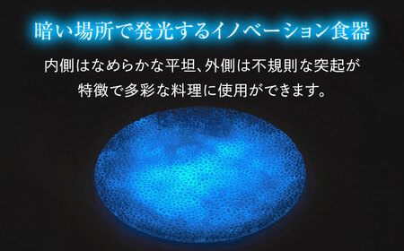 ルミナスシリーズ プレート (大) ブルー 【暗闇に輝く、卓上の新たな魔法】 多治見市 / 丸モ高木陶器 ガラス 皿 食器[TBA215]