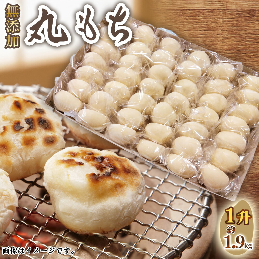 【ふるさと納税】No.515 丸もち1升 ／ モチ 餅 おもち 丸餅 国産 佐賀県産 ヒヨクモチ 無添加 個包装 送料無料 愛知県