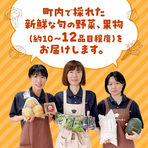 旬の野菜と果物のふるさと便 10～12品 人気 野菜 詰合せ 詰め合わせ セット 新鮮野菜 詰め合わせセット 野菜セット 季節の野菜 トマト みかん ブロッコリー レモン いちご 三重県 多気町 GF