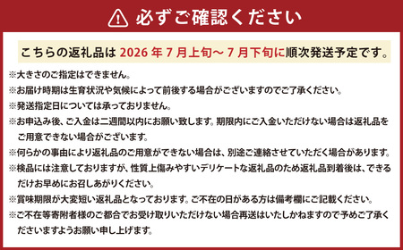 レッドメロン 2玉 （1玉 約1.6kg） 【2026年7月上旬～2026年7月下旬発送予定】 果物 フルーツ メロン めろん 赤肉 赤肉メロン 贈答 北海道 浦臼町