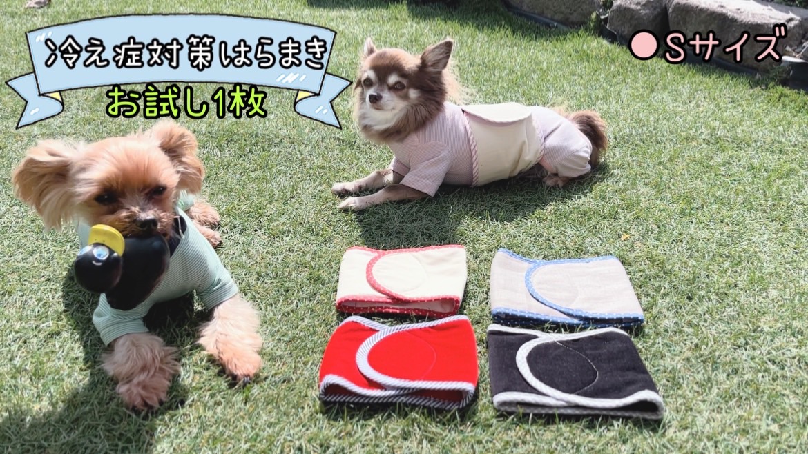 FB158_超小型犬・シニア犬の冷え性対策腹まき☆Sサイズ【お試し1枚】
