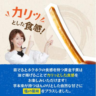 ふるさと納税 川南町 塩かりんとう75g×12袋 |  | 02