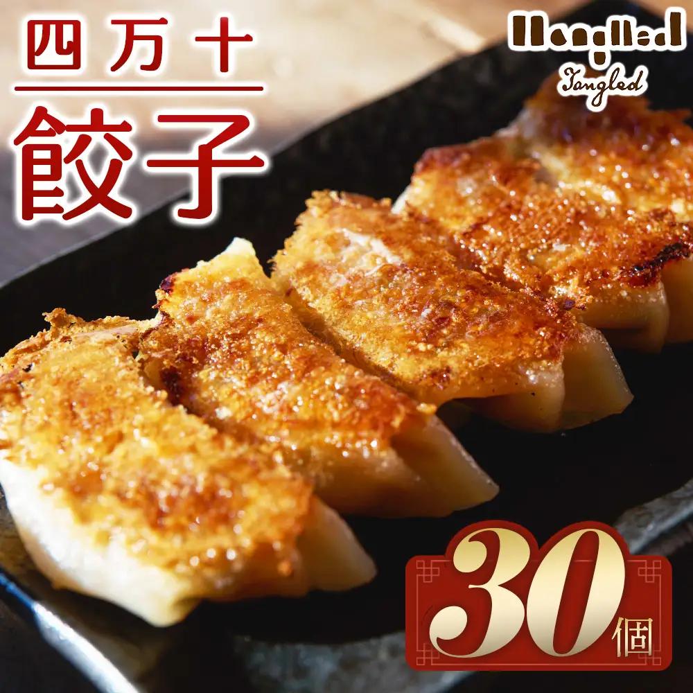 高知県四万十町の食と地域の魅力を包んだ「四万十餃子」 30個入り／Qih-01 餃子 冷凍餃子 国産餃子 麦豚 生姜 四万十町 手包み