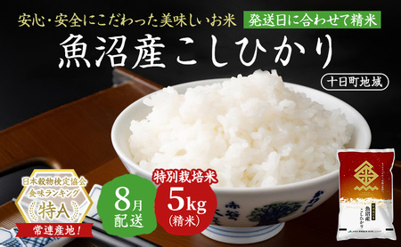 【令和7年産米】特別栽培米 魚沼産こしひかり(十日町地域) 精米 5kg 8月配送 お米 精米 こめ ご飯 白米 特別栽培  旧：五郎兵衛