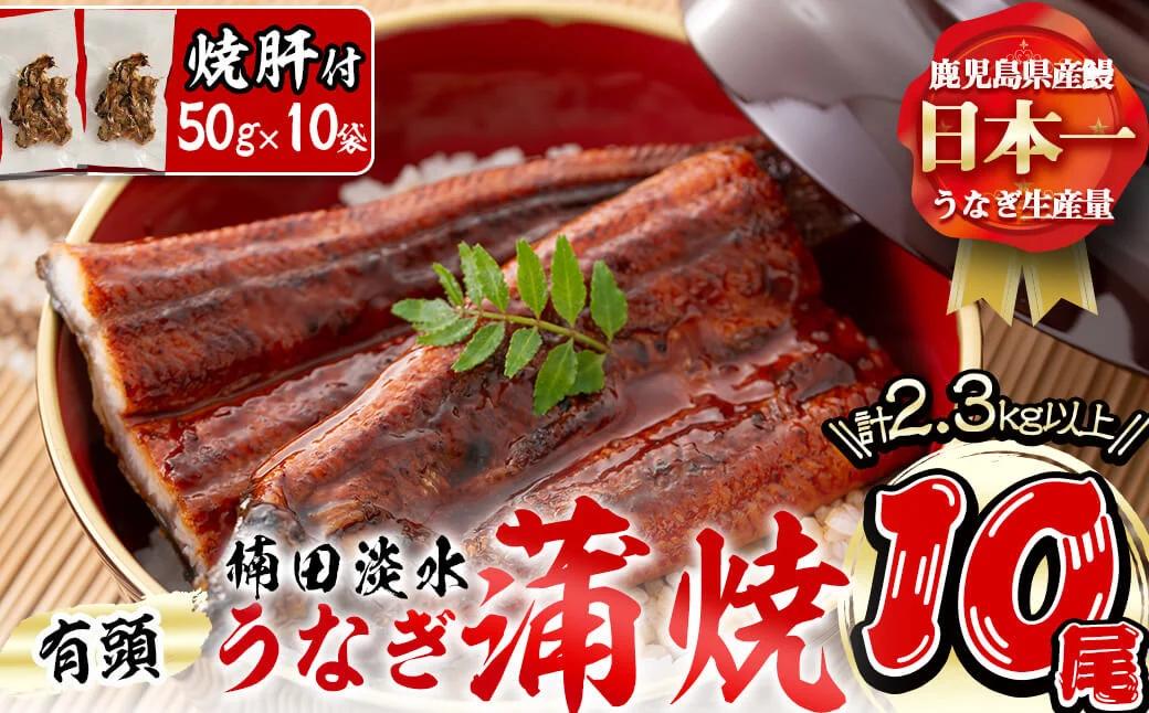 
楠田の極うなぎ蒲焼き 230g以上×10尾(計2.3kg以上) 焼肝10袋付き うなぎ 鰻 ウナギ 国産 鹿児島県産 九州産 蒲焼き 冷凍 うな重 ひつまぶし wa24-004
