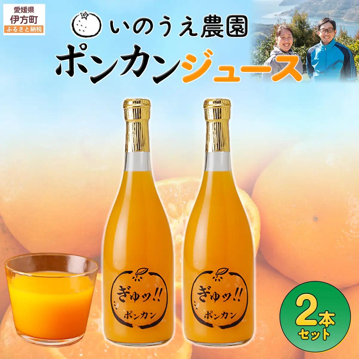 いのうえ農園 ポンカンジュース2本セット ※離島への配送不可 IKTAI013