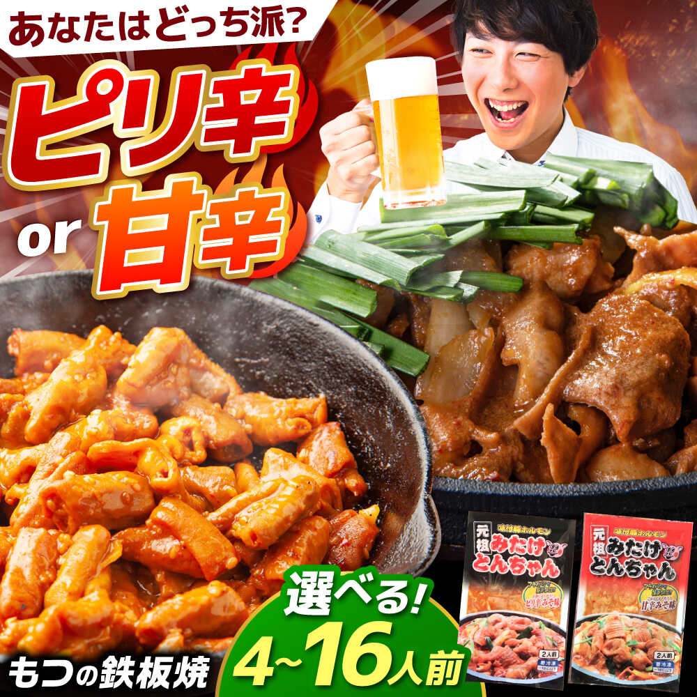 【ふるさと納税】【内容量＋辛味が選べる！】岐阜県産豚もつの鉄板焼「みたけとんちゃん」/ モツ もつ 白もつ 白モツ ホルモン ほるもん 豚肉 豚ホルモン 鉄板焼き おつまみ / 御嵩町 / 藤よし [AVAA006]
