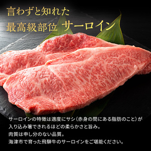 飛騨牛 サーロインステーキ 岐阜県産 飛騨牛【250g×2枚 計500g】