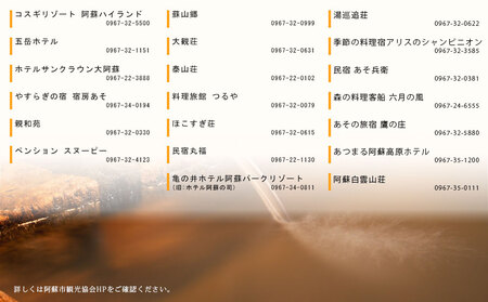 【30,000円分】阿蘇市観光協会加盟施設で使用できる宿泊補助券【旅行】