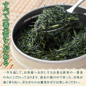 B05 上級煎茶「霧島山麓湧水茶」(5袋・1袋100g) 国産 九州産 やぶきた おくみどり さえみどり 茶さじ付き 茶葉 お茶 おちゃ 日本茶 一番茶 新茶 真空パック ギフト 贈答 プレゼント【野