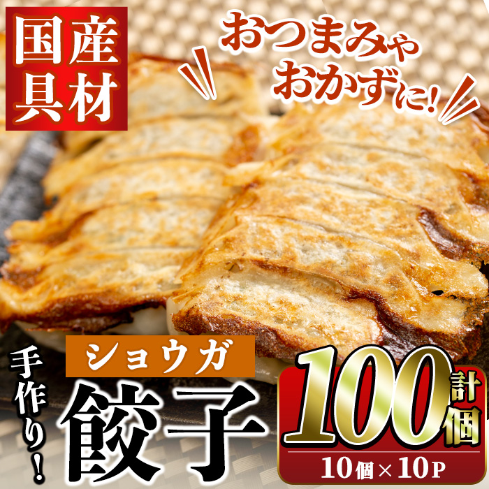 国産豚肉使用！手作りショウガ餃子(計100個・10個×10パック,たれ付き) 餃子 ぎょうざ ギョウザ ギョーザ しょうが 生姜 豚肉 おかず お惣菜【スーパーよしだ】a-12-114-z