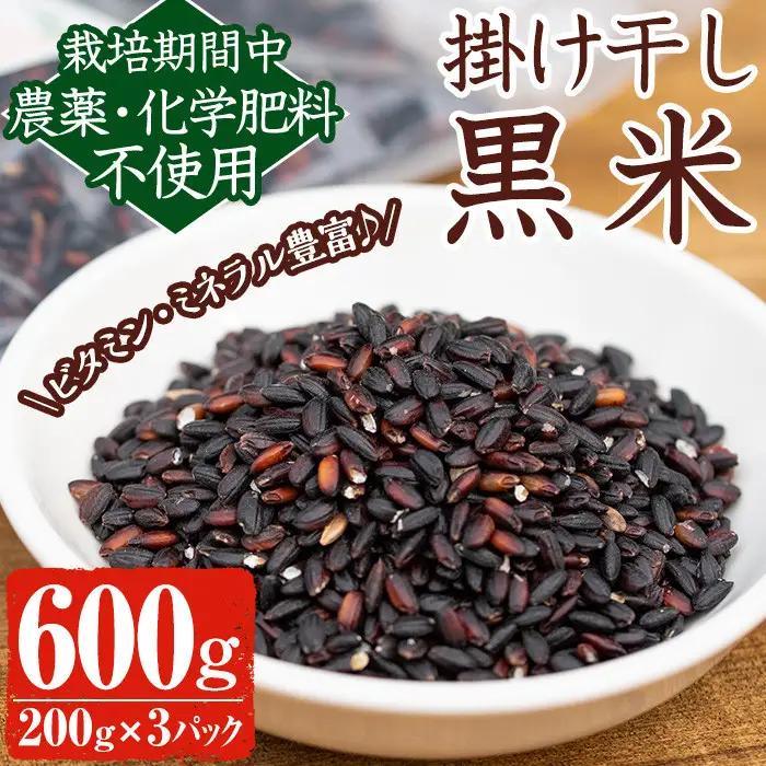 《栽培期間中農薬化学肥料不使用》掛け干し黒米(計600g・200g×3パック) 国産 九州産 鹿児島産 湧水町産 黒米 お米 米 おこめ 600g 化学肥料不使用 農薬不使用 有機 有機農業 有機肥料【雲月農園】_y172