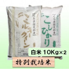 【令和6年産】特別栽培米 20kg【白米】(ミルキークイーン/コシヒカリ)