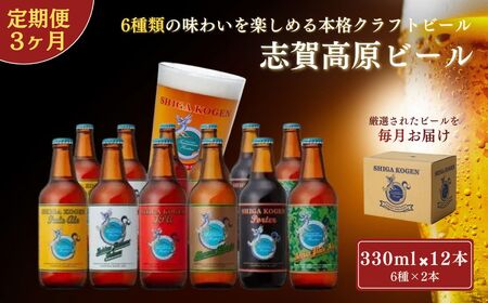 定期便 3ヶ月 クラフトビール 志賀高原ビール 12本 セット 玉村本店 クラフトビール