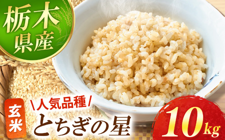 【先行予約】真岡市産 とちぎの星 玄米 10kg | 新米 お米 米 おこめ 玄米 おにぎり ご飯 飯 栃木県 真岡市 送料無料