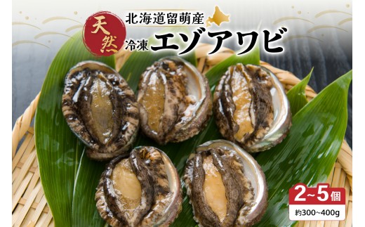 
            【産地直送】北海道留萌産天然冷凍エゾアワビ 2～5個
          