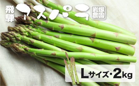 《先行予約》【2026年5月上旬～8月末発送】飛騨産アスパラガス L～2Lサイズ 2kg 岩塚農園 春 夏 野菜 BBQ[Q568x_26] syun70