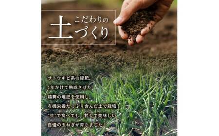 ＜2025年発送 先行予約＞甘すぎる新鮮玉ねぎ 10kg （2025年6月20日～7月20日 出荷） 減農薬減 化学肥料 生食 たまねぎ 玉ねぎ タマネギ 野菜 食品 F21E-206
