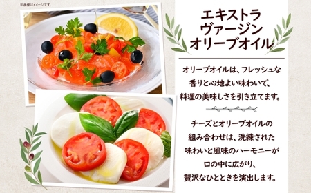 チーズ 定期便 12ヶ月 2種 オリーブオイル セット チーズ