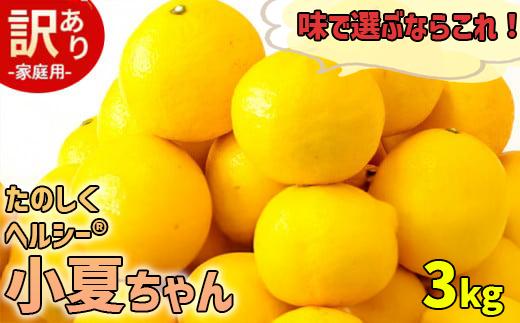 【訳あり】小夏 (日向夏) ヘルシー小夏ちゃん 3kg 2026年5月末から発送  | 家庭用 期間 数量 限定 旬 人気 果物 くだもの 柑橘 フルーツ みかん ジュース 高知県 須崎市 KYM009