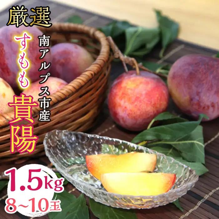 ＜2026年発送分先行予約＞厳選 貴陽すもも 約1.5kg 8玉～10玉 山梨県南アルプス市産 ALPBV008