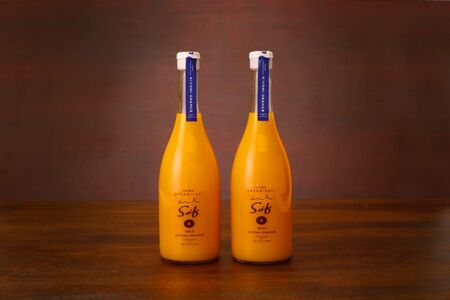 saito orange farm 清見720ml×2本セット IKTAQ025