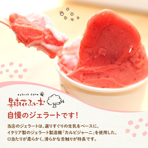 ジェラート ミルク 12個 アイス アイスクリーム スイーツ お菓子 菓子 おやつ 兵庫県 加西市