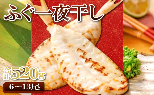 
魚本来の旨味を生かした「ふぐ一夜干」　約520g【フグ 干物 520g ふぐ 一夜干し 新鮮 一夜干 骨なし 肉厚 うす塩 冷凍 酒の肴 晩酌 おつまみ 唐揚げ 贈答 ギフト 父の日 母の日 国産】
