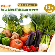 旬の新鮮野菜セット　大満足な13種以上【野菜詰め合わせ】