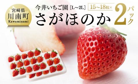 【令和8年発送】宮崎県産いちご　さがほのかL～2L（15～18粒入）×2パック 【 国産 イチゴ 苺 果物 くだもの 期間限定 数量限定 】[C04602]