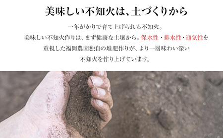 福岡農園 不知火 5kg 《1月上旬-1月末頃出荷》熊本県 氷川町 柑橘 果物 フルーツ 