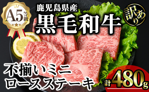 【訳あり】鹿児島県産A5等級黒毛和牛不揃いロースミニステーキ (計480g) 黒毛和牛 ロースステーキ 冷凍【KNOT】 A641-v01