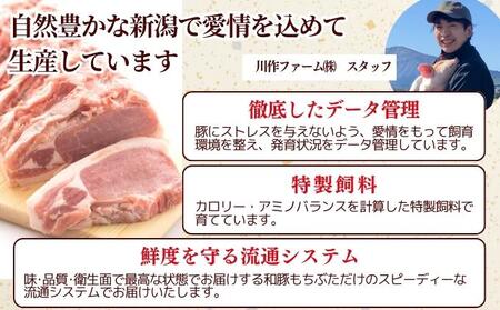 和豚もちぶた こま切れ 3kg （300g×10パック） セット もち豚 豚こま お肉 肉 豚肉 豚 おかず 惣菜 朝ごはん お弁当 小分け 真空パック 冷凍 新潟県 新潟 
